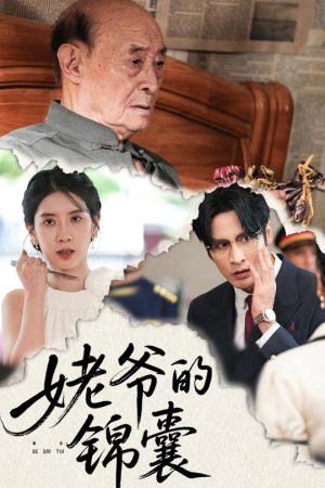 姥爷的锦囊（63集）短剧合集4K修复版