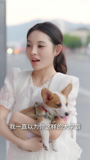 我靠情敌吹牛发家（62集）短剧结局篇全集直通