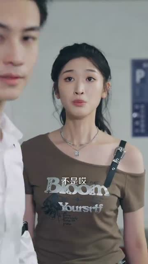 无敌贾二虎（80集）短剧合集导演剪辑版