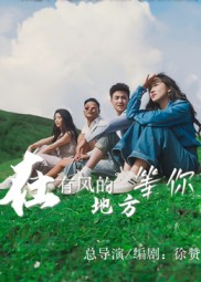 在有风的地方等你（32集）短剧全剧终高清放送