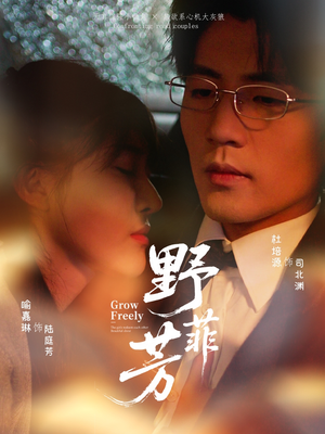 野芳菲（60集）短剧宝藏全集限免看