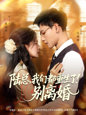 陆总我们都重生了别离婚（79集）短剧合集4K修复版