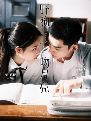 野狗吻月亮（68集）短剧合集导演剪辑版
