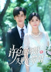 许总他离婚失败在带娃（50集）短剧全系列免费畅享