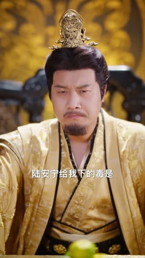 天命安宁（71集）短剧合集导演剪辑版
