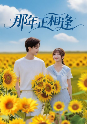 那年正相逢（60集）短剧合集杜比音效版