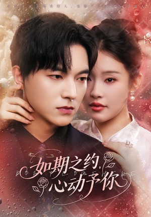 如期之约心动予你（82集）短剧合集通宵追更版
