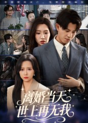 离婚当天世上再无我（60集）短剧全集解锁零收费