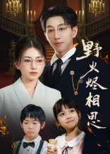 野火烬相思（61集）短剧爆款全集在线播