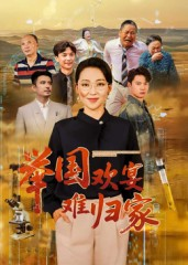 举国欢宴难归家（40集）短剧完结全集限免刷