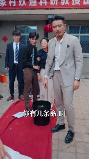 举国欢宴难归家（40集）短剧爆款全集在线播