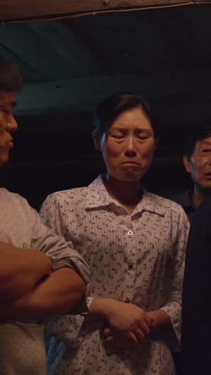 忠犬飞虎（33集）短剧收官全集限免看