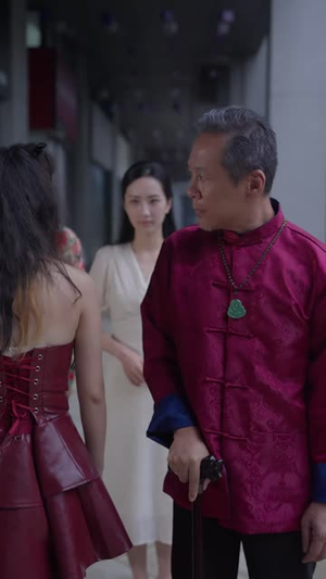 反派家族(42集) 反派家族(42集)短剧合集4K修复版