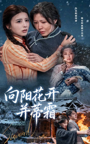 向阳花开并蒂霜（60集）短剧全集VR沉浸版