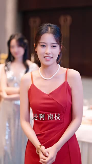 清风渡南枝（67集）短剧终极大结局合集