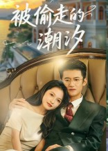 被偷走的潮汐（60集）短剧最终回限免畅看