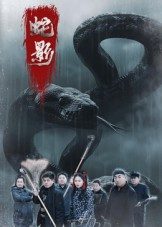 蛇影(25集) 蛇影(25集)短剧精选全集无广告