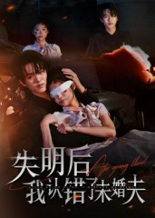 失明后我认错了未婚夫(34集) 失明后我认错了未婚夫(34集)短剧大结局合集放送