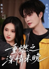 重燃之深情未晚(70集) 重燃之深情未晚(70集)短剧全集高清完整版