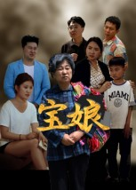 宝娘（23集）短剧结局篇全集直通