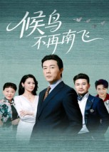 候鸟不再南飞（80集）短剧收官全集限免看