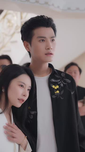 村妻扶我凌云志（80集）短剧全剧免费合集