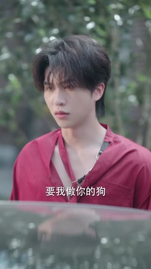 暗涌（97集）短剧大结局全集解锁