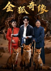金狐奇缘(42集) 金狐奇缘(42集)短剧合集杜比音效版