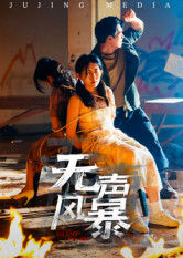 无声风暴（33集）短剧全集高清完整版