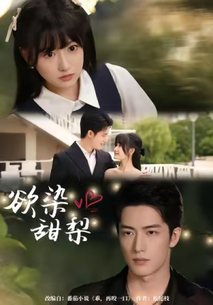 欲染甜梨(63集) 欲染甜梨(63集)短剧全剧终限免合集