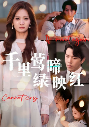 千里莺啼绿映红(63集) 千里莺啼绿映红(63集)短剧全集投屏大屏看