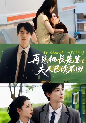 再见机长先生夫人已读不回(62集) 再见机长先生夫人已读不回(62集)短剧限免全集任你点