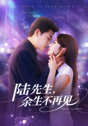 陆先生,余生不再见(88集) 陆先生,余生不再见(88集)短剧全集VR沉浸版