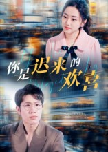 你是迟来的欢喜（93集）短剧宝藏全集限免看