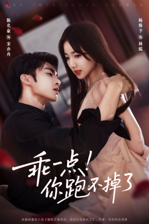 乖一点!你跑不掉了(85集) 乖一点!你跑不掉了(85集)短剧最终回限免畅看