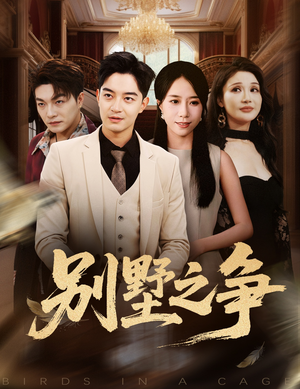 别墅之争（59集）短剧全集特惠限时看