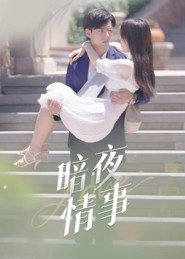 暗夜情事（100集）短剧精选全集无广告