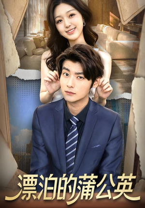 漂泊的蒲公英(60集) 漂泊的蒲公英(60集)短剧最终章免费合集