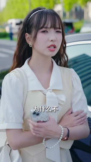 相亲99次,相到老板了(81集) 相亲99次,相到老板了(81集)短剧全集热力排行榜之一