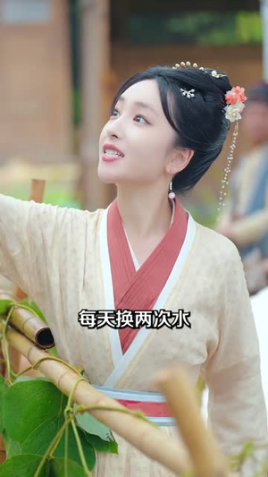 穿入洞房,农家丑女要翻身(80集) 穿入洞房,农家丑女要翻身(80集)短剧全集秒播无卡顿