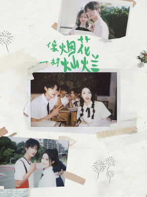 像烟花一样灿烂（60集）短剧完整版全集放送