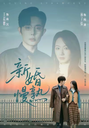 新婚慢熟（105集）短剧结局合集限免刷