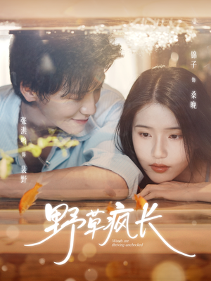 野草疯长（71集）短剧最终回限免畅看
