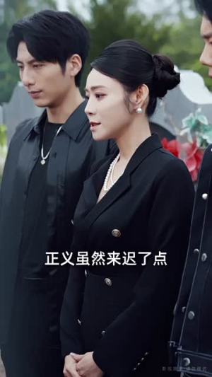 时间的证人(45集) 时间的证人(45集)短剧全集热力排行榜之一