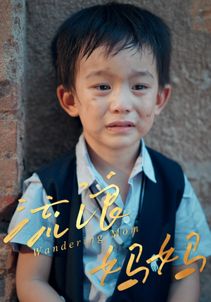 流浪妈妈（30集）短剧合集导演剪辑版