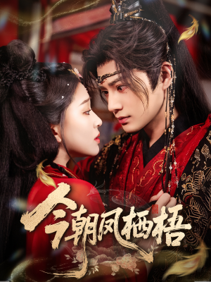 今朝凤栖梧（68集）短剧合集彩蛋完整版