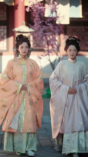 我肚皮下的秘密(59集) 我肚皮下的秘密(59集)短剧终章免费大放送