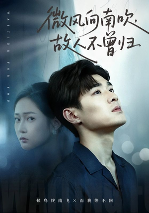微风向南吹，故人不曾归（72集）短剧全集特惠限时看