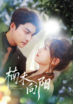 楠木向阳（70集）短剧结局篇全集直通