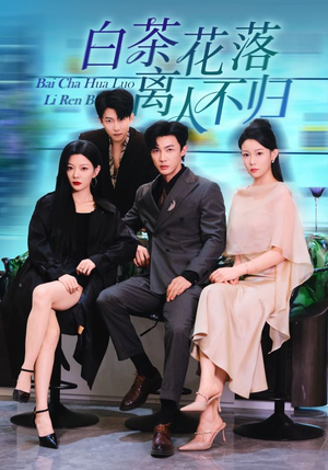 白茶花落离人（51集）短剧精选全集无广告